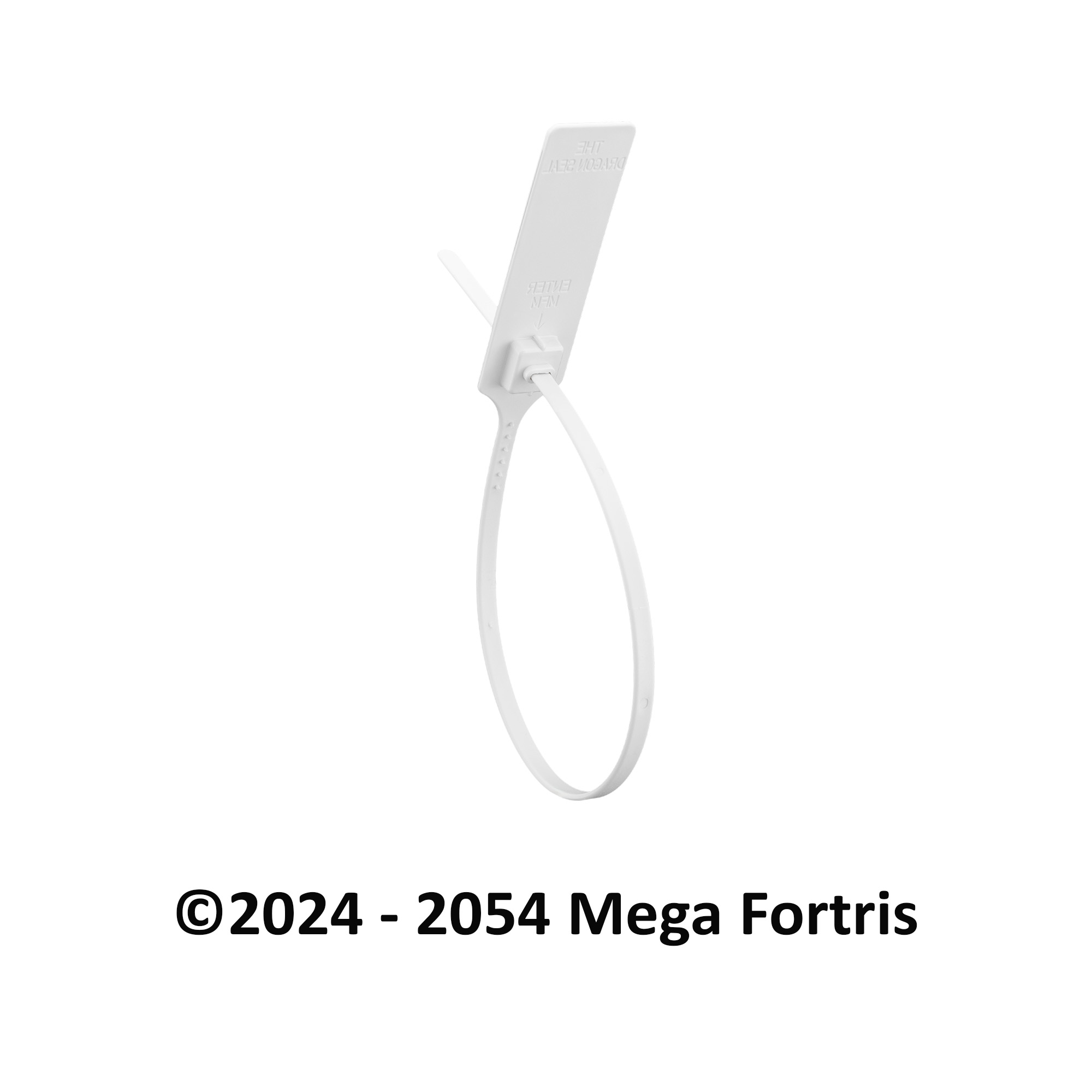 Dragon Seal (Non Tear-Off) - Image 8