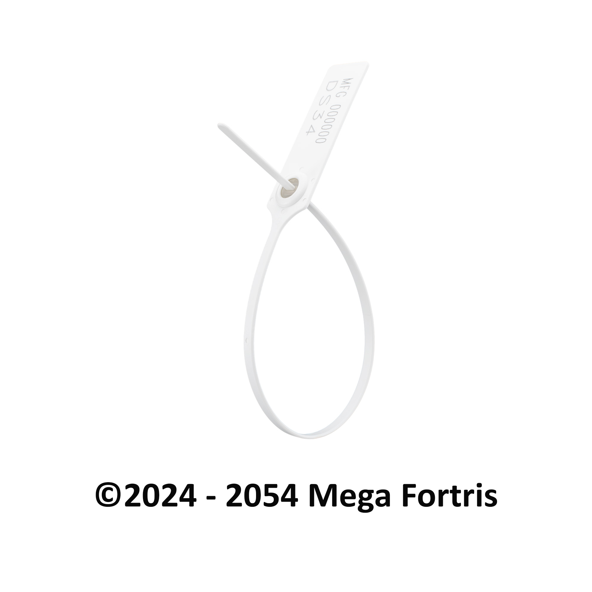 Dragon Seal (Non Tear-Off) - Image 11