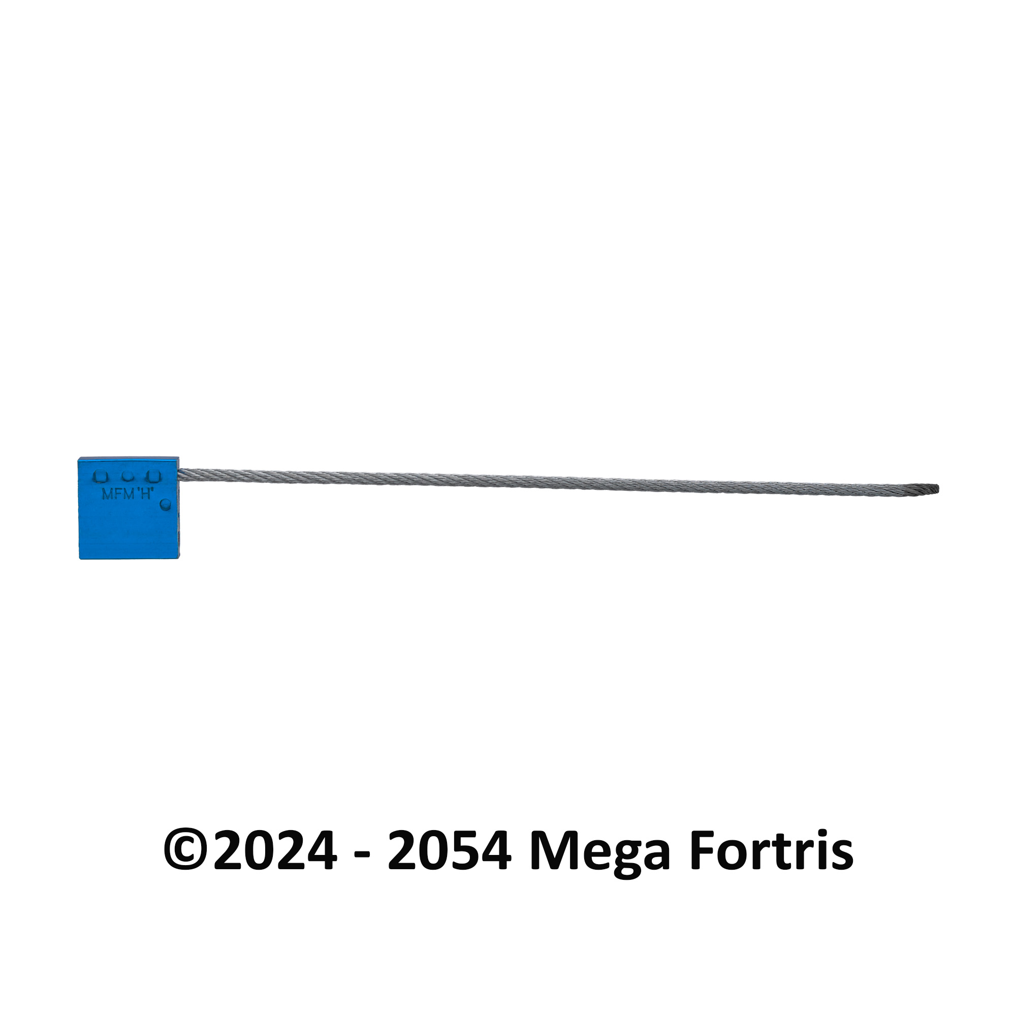 Fort Medium Cable Lock (FMCL 350) - Image 2