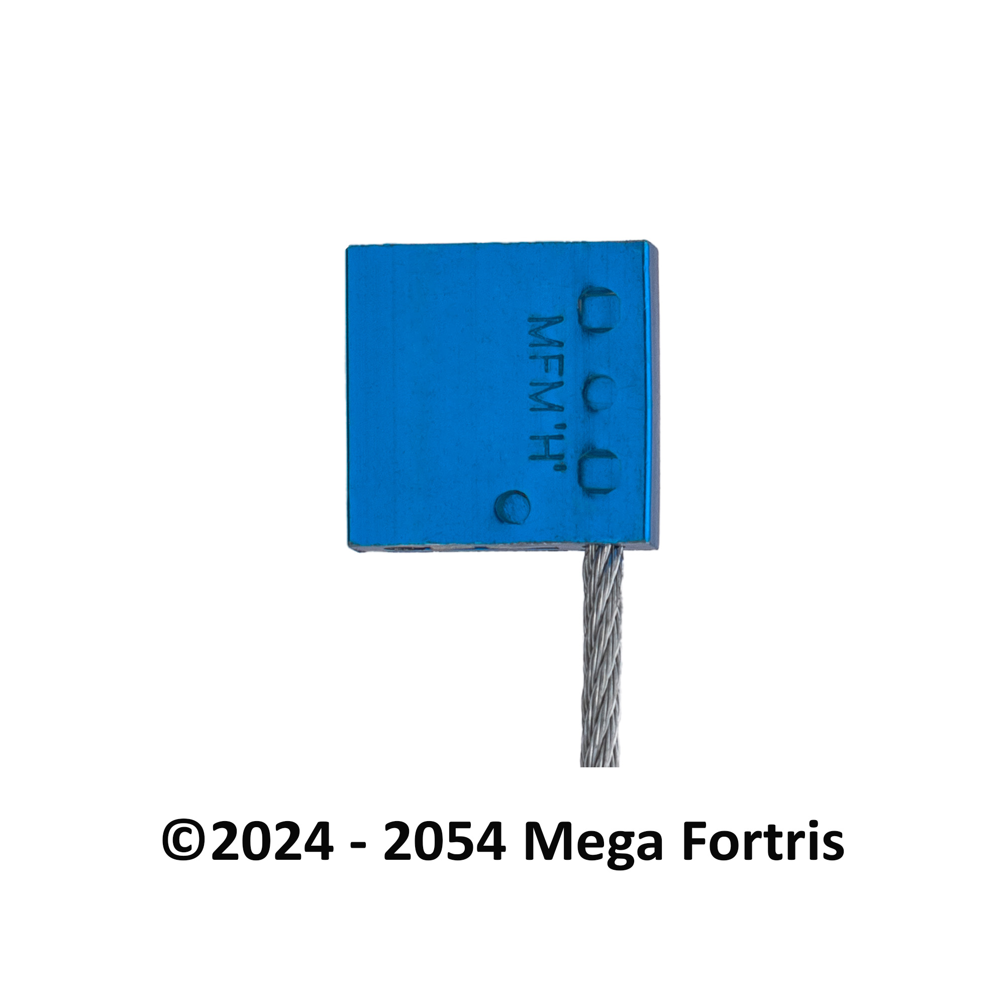 Fort Medium Cable Lock (FMCL 350) - Image 3
