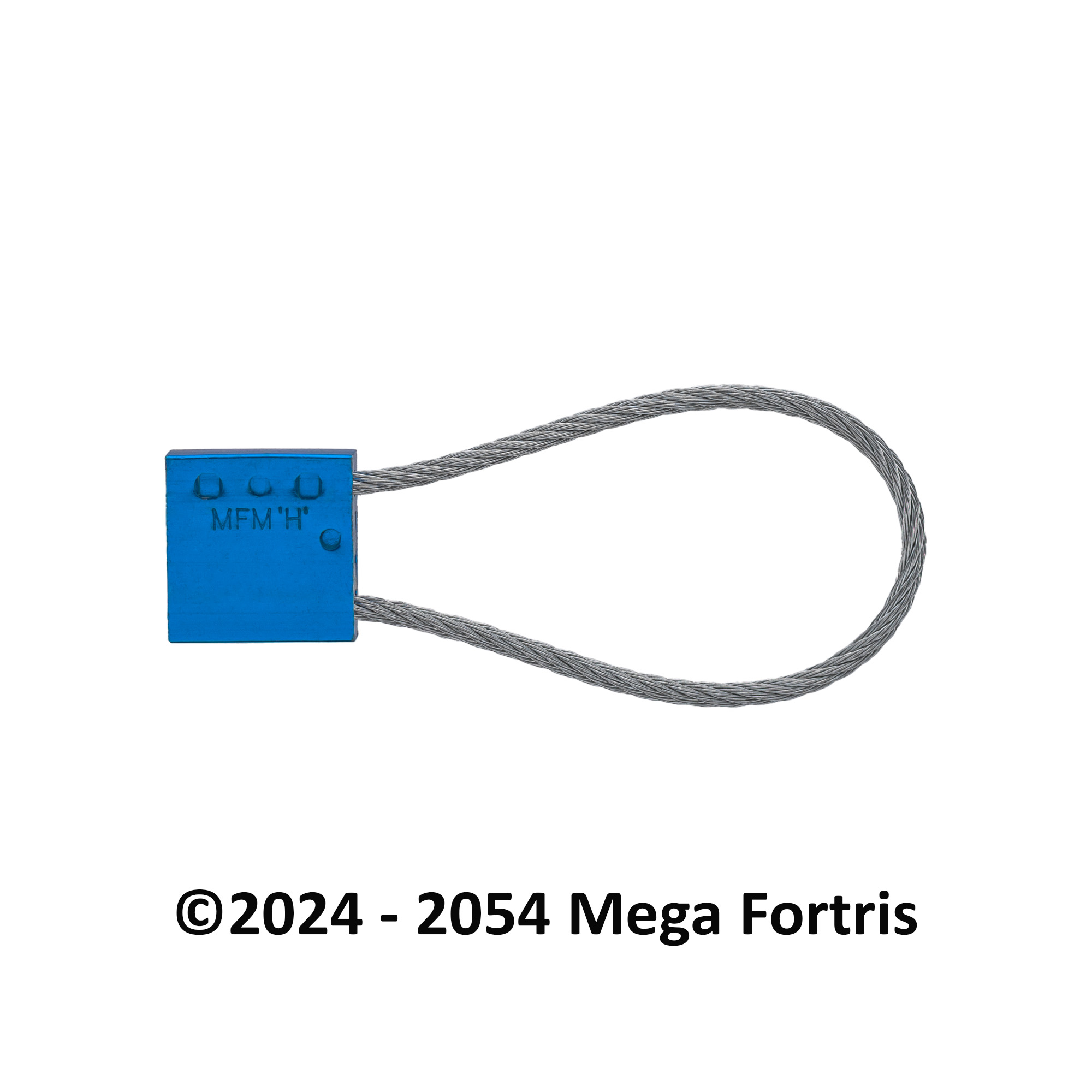 Fort Medium Cable Lock (FMCL 350) - Image 8