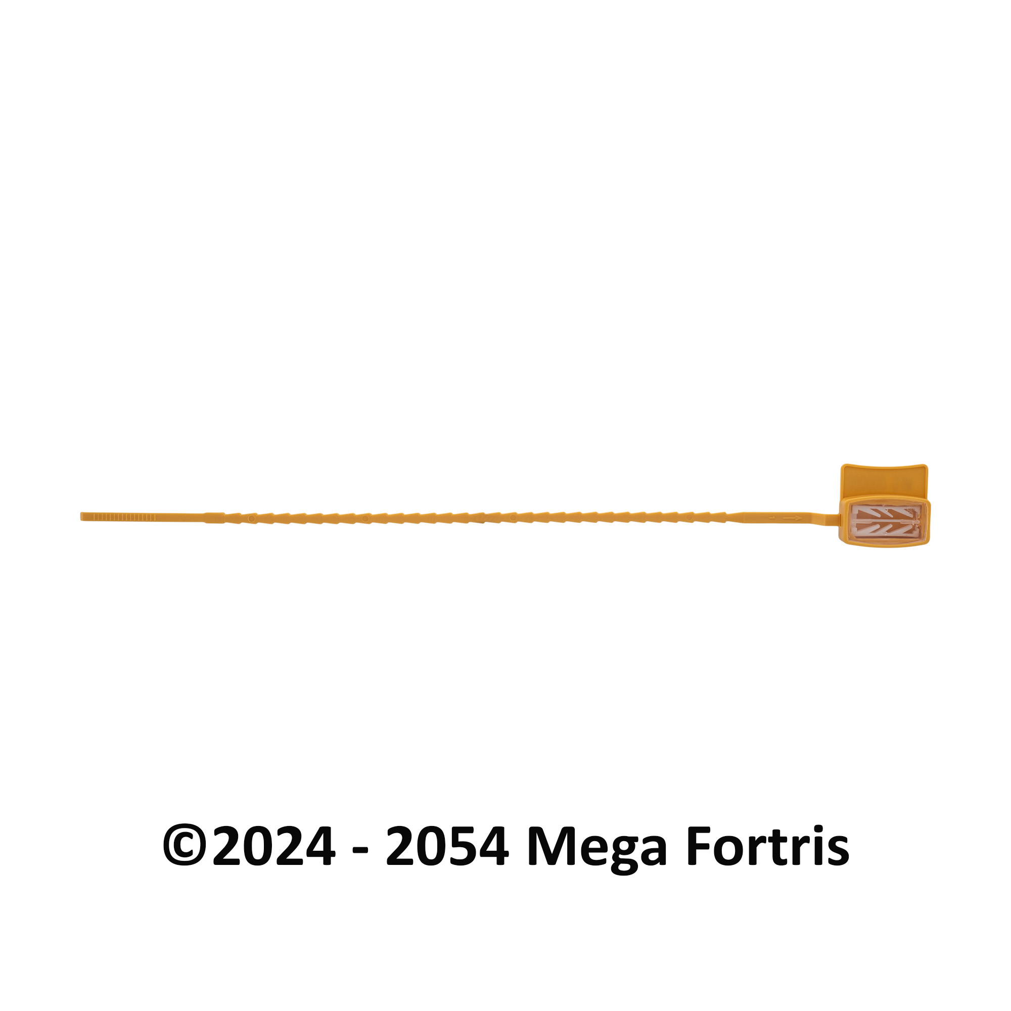 Triple Tight SP - Image 2