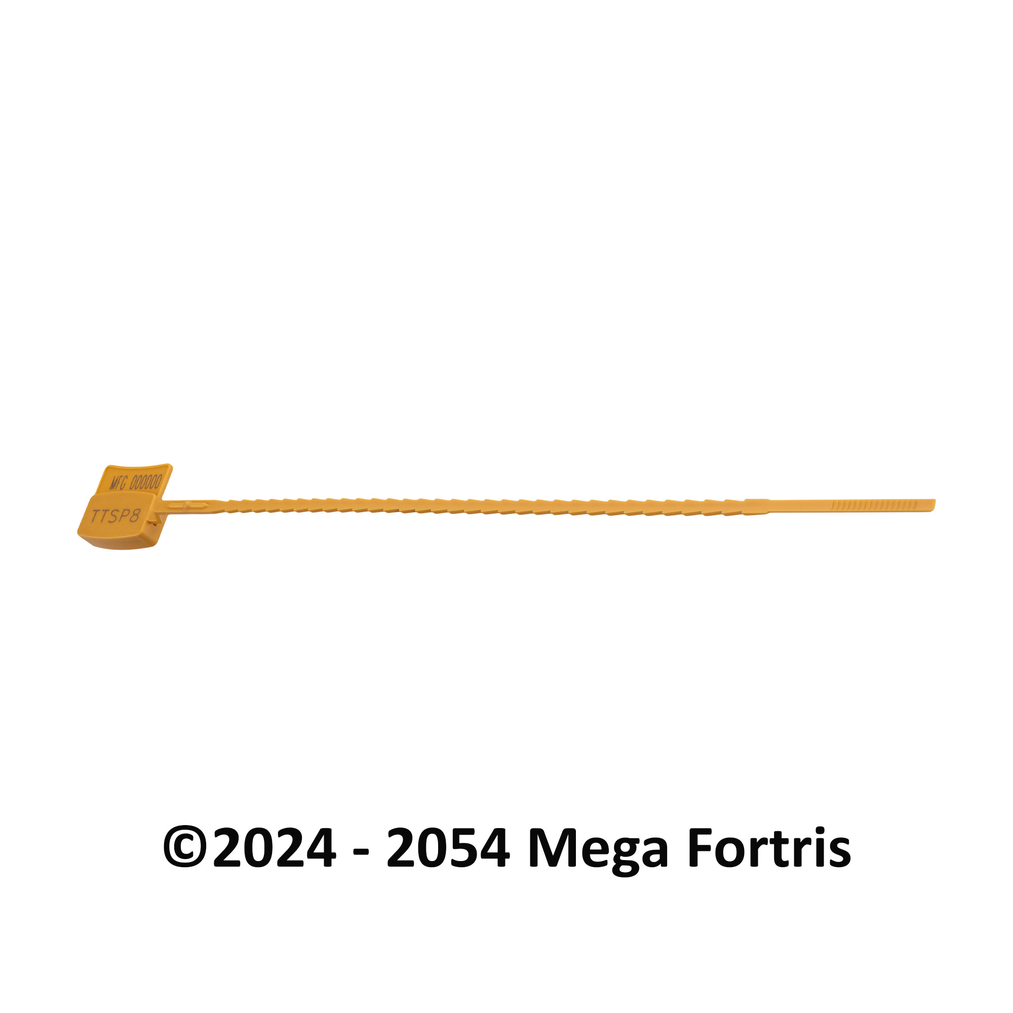 Triple Tight SP - Image 5