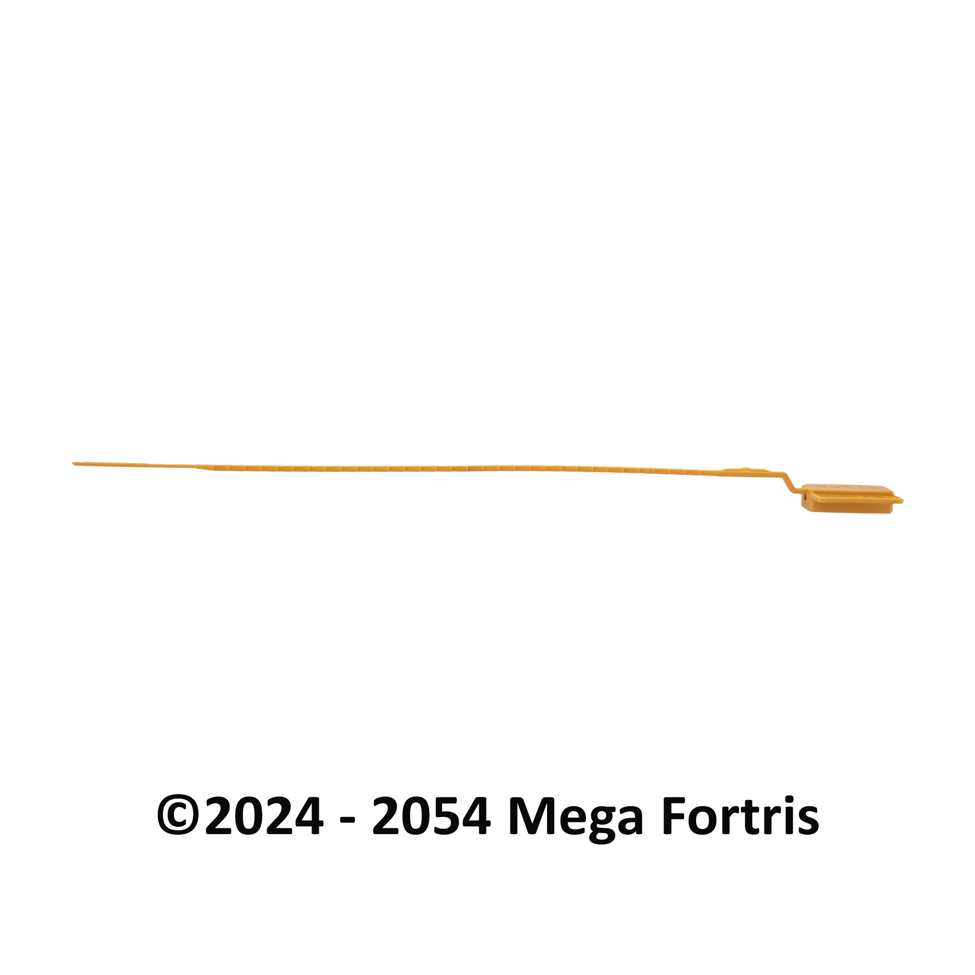 Triple Tight SP - Image 3